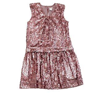 Crewcuts Pink Champagne Sequin Dropped Waist Party Dress (12)